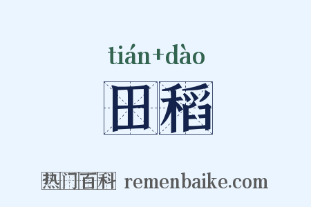 田稻是什么意思的图片